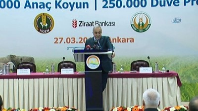 et ithalati -  Tarım Bakanı Fakıbaba: 'İnsanların 300 koyun projesine bu kadar ilgi göstereceğini ben de düşünmemiştim'  Videosu