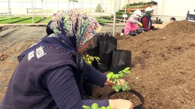 cevre kirliligi - Diyarbakır çiçek bahçesine dönecek  Videosu