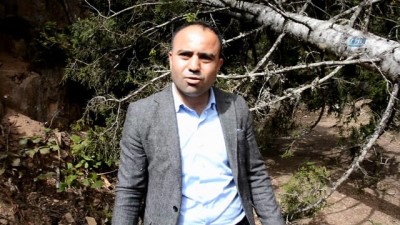 felaket -  Fırtına onlarca ağacı kökünden söktü  Videosu