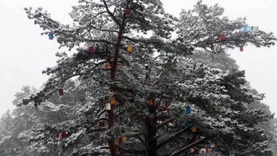 kar kalinligi -  Bolu’da kar yağışı başladı  Videosu