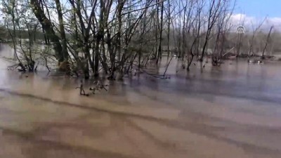 sokak kopekleri - Otomobil taşkın sularına gömüldü - EDİRNE  Videosu