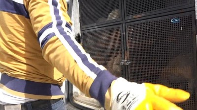dogal yasam alani -  Yaralı köpek için ekipler seferber oldu  Videosu