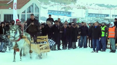 liseli ogrenci - 2. Ahir Dağı Atlı Kızak Türkiye Şampiyonası - KAHRAMANMARAŞ Videosu