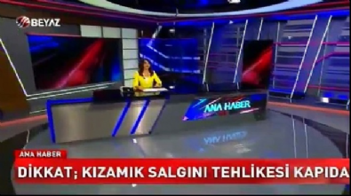 beyaz haber - Dikkat! Kızamık salgını tehlikesi kapıda! Videosu