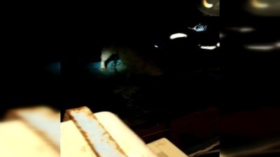 sokak kopegi -  Kabloya dolanan köpeği itfaiye ekipleri kurtardı  Videosu