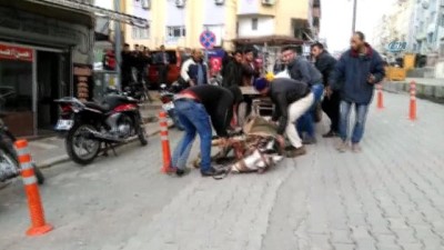 hanli -  Atı bayılınca gazetecilere saldırdı  Videosu