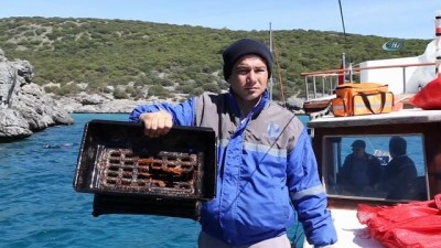 gunesli hava -  Bodrum Adaboğazı koyu temizlendi Videosu