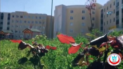 kullar -  Cumhurbaşkanı Erdoğan’a klipli davet Videosu