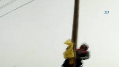 elektrik diregi -  Elektrik direğine tırmanan kedi 7 metreden atlayarak kurtuldu Videosu