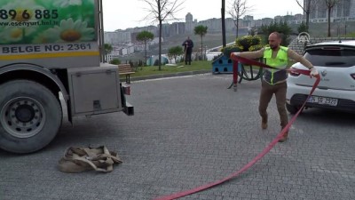 sokak kopekleri - Köpeklerin kaplıca keyfi - İSTANBUL  Videosu