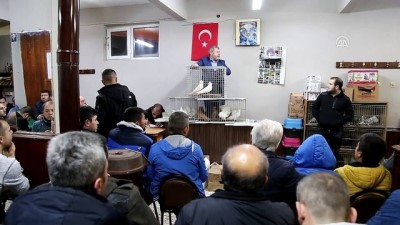 kahvehane - 'Güvercin mezatı'nın geliri Mehmetçik'e - TEKİRDAĞ Videosu
