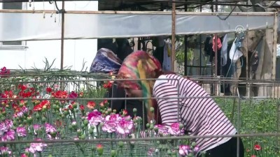1 milyon dolar - 48 ülkenin kadınına 80 milyon dal Türk çiçeği - ANTALYA  Videosu