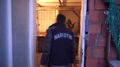 narkotik operasyonu -  Bursa'da eş zamanlı narkotik operasyonu: 4 gözaltı Videosu