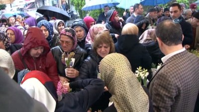 yagmurlu -  Bağcılar'da Kadınlar Günü'nde 25 bin adet sümbül dağıtıldı  Videosu