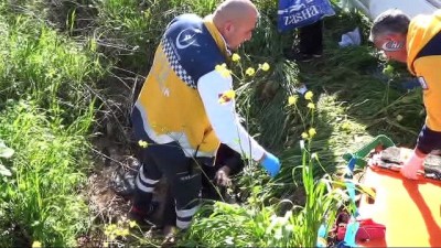 direksiyon -  Didim- Söke yolunda midibüs devrildi: 2’si ağır, 14 yolcu yaralandı Videosu