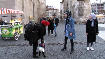 patlamis misir -  Kuzuyu evinde 'bebek' gibi besliyor  Videosu