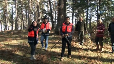 orman alani -  Türkiye’nin en değerli ormanları Burçin müdüre emanet  Videosu