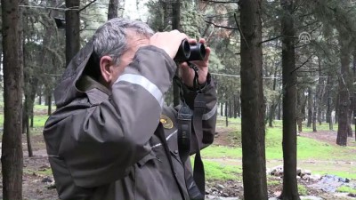 kacak avci - Kaçak avcıların izini sosyal medyada sürüyorlar - MANİSA  Videosu
