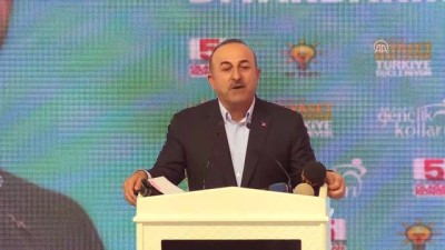 Dışişleri Bakanı Çavuşoğlu: 'Birlikte oyunu bozduk' - DİYARBAKIR