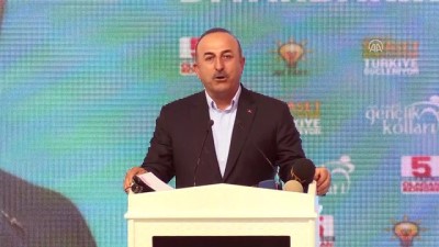 Dışişleri Bakanı Çavuşoğlu: 'Hepimiz aynı geleceğe omuz omuza yürüyoruz'- DİYARBAKIR