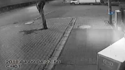  'Saksı' hırsızları güvenlik kamerasına yakalandı 