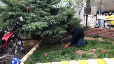 bulduk -  Balıkçıl kuşuna vatandaşlar sahip çıktı  Videosu