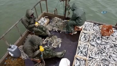 zabita ekibi -  Van Gölü'nde av yasağı başlıyor... Balıkçılar son kez gölden ağlarını çekti  Videosu
