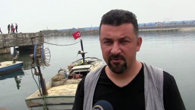biyolojik cesitlilik - 'Karadeniz artık Akdeniz'leşiyor' - DÜZCE  Videosu