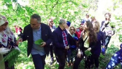 festival - Protokol üyelerinin 'şifalı ot' mesaisi - DÜZCE  Videosu