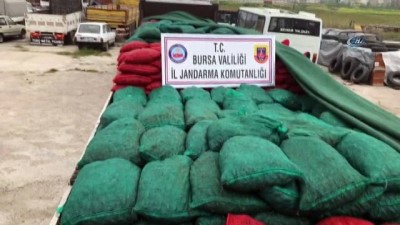  Bursa'da 30 ton kaçak midye ele geçirildi 