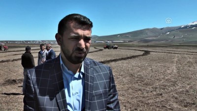 tarim arazisi - Kış’ın en uzun sürdüğü topraklar tohumlarla buluştu - KARS  Videosu