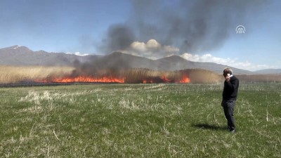 yukselen - Sazlık alanda yangın - VAN Videosu