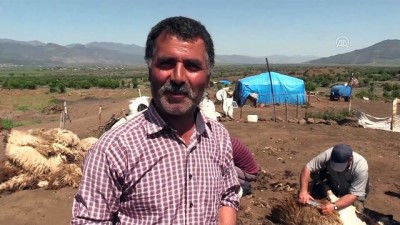 yaz gunleri - Doğu Akdeniz'de koyun kırkım zamanı - HATAY  Videosu