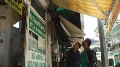 bulduk -  Hizan esnafının ‘Kumru’ nöbeti  Videosu