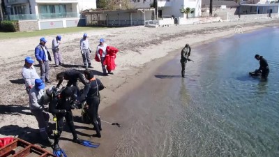 yuzme - 'Çevreci köpek' dalgıçlara destek oldu - MUĞLA  Videosu