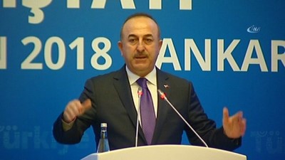  Dışişleri Bakanı Mevlüt Çavuşoğlu: '2050 yılında dünya ekonomisine daha fazla katkı sağlayacak kıt'alara şimdiden stratejik şekilde gitmemizde yarar var” 