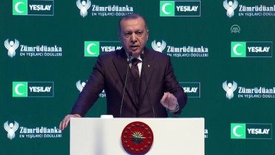 Cumhurbaşkanı Erdoğan: 'Belediye başkanlığımdan bu yana bulunduğum her yerde alkolü ben kaldırdım' - İSTANBUL