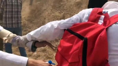 saglik gorevlisi -  - İsrail 44 sağlık çalışanını yaraladı Videosu