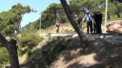 direksiyon - Ayvalık'ta otomobil şarampole devrildi: 4 yaralı - BALIKESİR Videosu