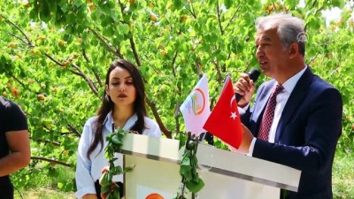 asad - Kayısı hasadı başladı - MERSİN  Videosu