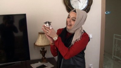 internet sitesi -  Kedinin merhameti görenleri hayrete düşürdü  Videosu