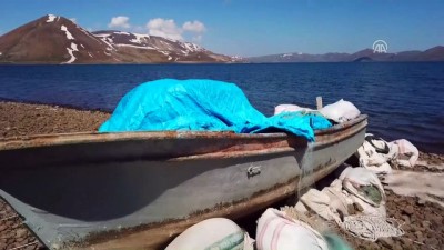 balik turu - Doğa tutkunlarının adresi: Balık Gölü - AĞRI  Videosu