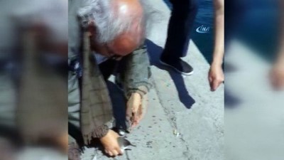  İstanbul Boğazı'nda balıkçı oltasına “Yelkovan kuşları” takıldı 