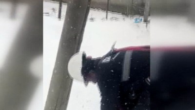 elektrik diregi -  Köpeklerden kaçan Kedi, çıktığı elektrik direğinde 2 gün mahsur kaldı  Videosu