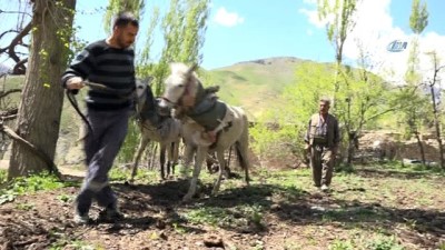 istifa -  İlkel yöntemlerle tarım  Videosu