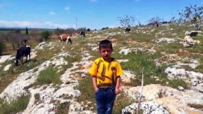 dunya cocuklari -  Küçük çobandan 23 Nisan şiiri  Videosu