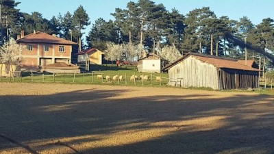 birinci sinif -  Her hane bir mahalle  Videosu