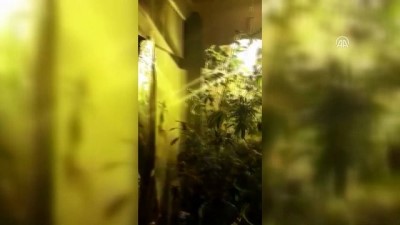 uyusturucu tarlasi - İç mimar evini uyuşturucu tarlasına çevirmiş - ANKARA  Videosu
