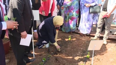 '3. Yerel Tohum Buluşmaları Şanlıurfa' etkinliği - Emine Erdoğan, fidan dikti - ŞANLIURFA