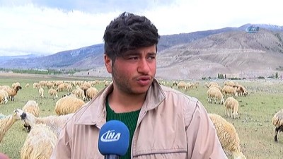 hastalik -  Erzincanlı üreticileri kuraklık endişesi sardı  Videosu